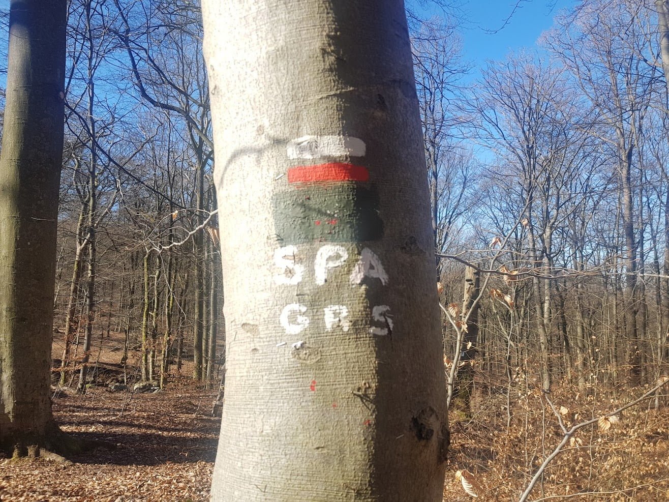 GR5 GR5